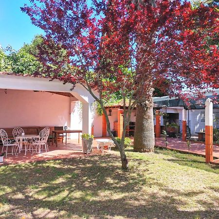 Botanique Guesthouse Cascais Eksteriør bilde