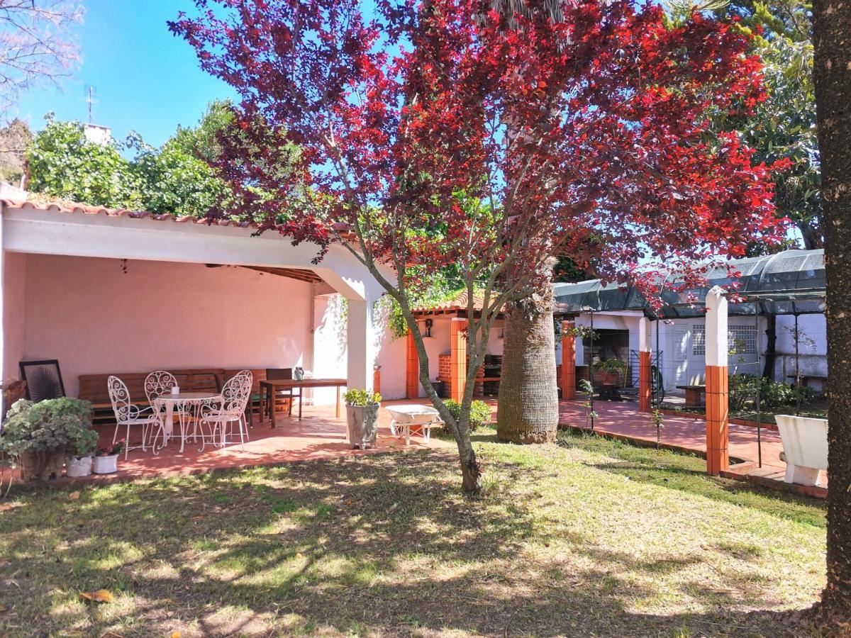 Botanique Guesthouse Cascais Eksteriør bilde